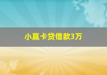 小赢卡贷借款3万