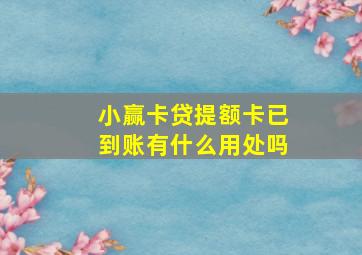 小赢卡贷提额卡已到账有什么用处吗