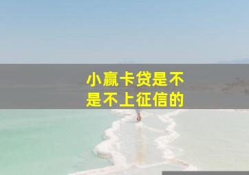 小赢卡贷是不是不上征信的