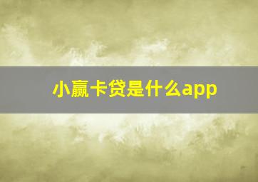 小赢卡贷是什么app