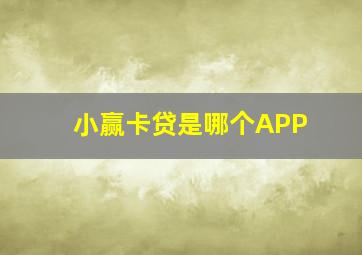 小赢卡贷是哪个APP