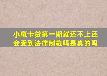 小赢卡贷第一期就还不上还会受到法律制裁吗是真的吗