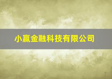 小赢金融科技有限公司