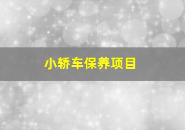 小轿车保养项目