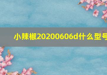 小辣椒20200606d什么型号