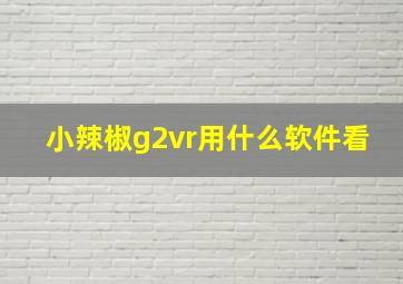 小辣椒g2vr用什么软件看