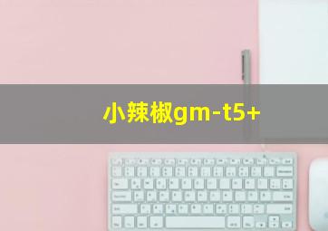 小辣椒gm-t5+