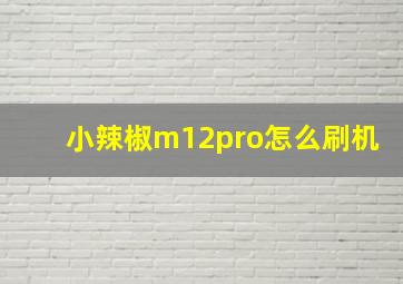 小辣椒m12pro怎么刷机