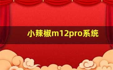 小辣椒m12pro系统