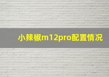 小辣椒m12pro配置情况