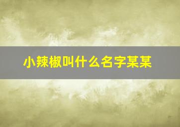 小辣椒叫什么名字某某