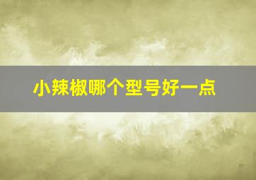 小辣椒哪个型号好一点