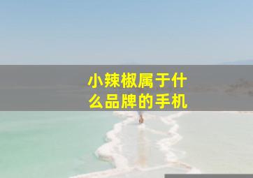 小辣椒属于什么品牌的手机