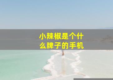 小辣椒是个什么牌子的手机