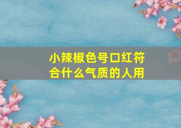 小辣椒色号口红符合什么气质的人用