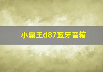 小霸王d87蓝牙音箱