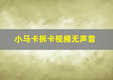 小马卡拆卡视频无声音