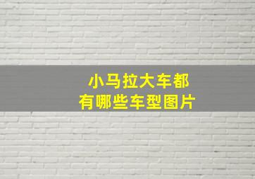 小马拉大车都有哪些车型图片