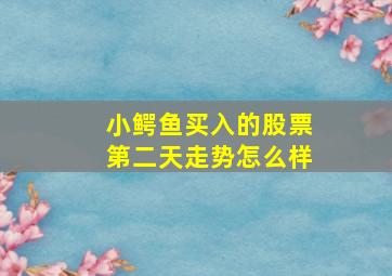 小鳄鱼买入的股票第二天走势怎么样