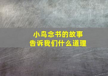 小鸟念书的故事告诉我们什么道理