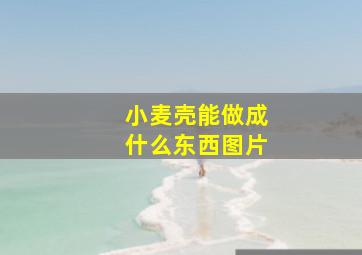 小麦壳能做成什么东西图片