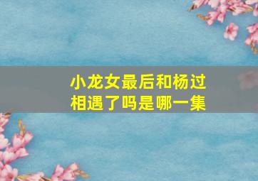 小龙女最后和杨过相遇了吗是哪一集