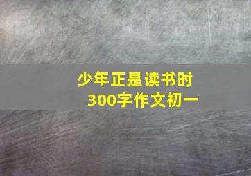 少年正是读书时300字作文初一