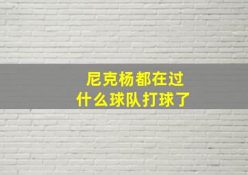 尼克杨都在过什么球队打球了