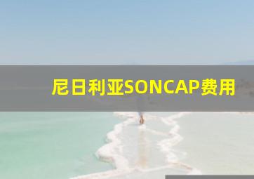 尼日利亚SONCAP费用