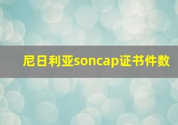 尼日利亚soncap证书件数