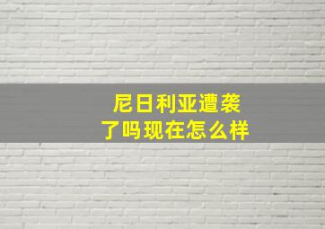 尼日利亚遭袭了吗现在怎么样