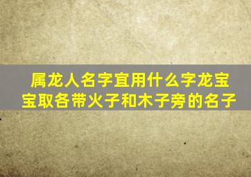 属龙人名字宜用什么字龙宝宝取各带火子和木子旁的名子