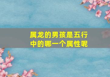 属龙的男孩是五行中的哪一个属性呢