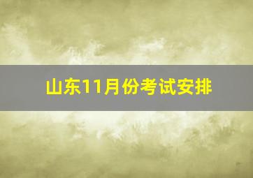 山东11月份考试安排