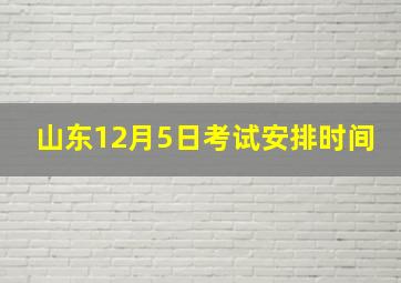 山东12月5日考试安排时间