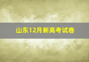 山东12月新高考试卷