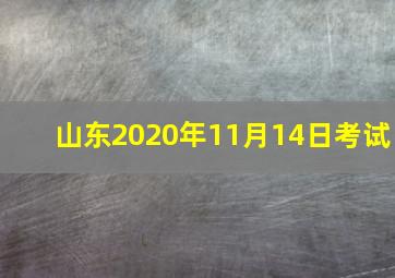 山东2020年11月14日考试