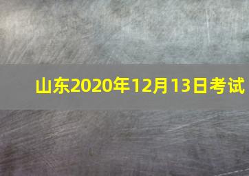 山东2020年12月13日考试