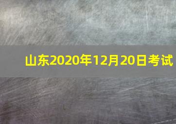 山东2020年12月20日考试