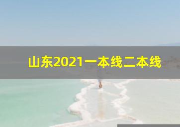 山东2021一本线二本线