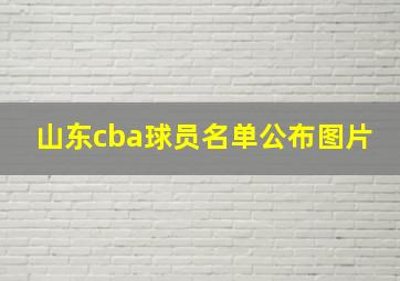 山东cba球员名单公布图片