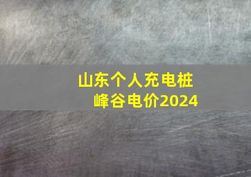 山东个人充电桩峰谷电价2024