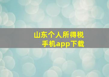 山东个人所得税手机app下载