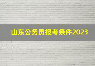 山东公务员报考条件2023