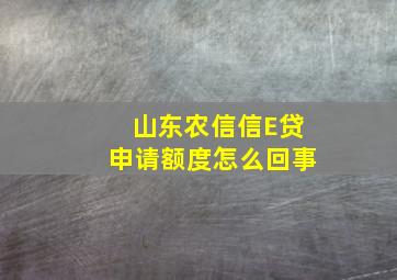 山东农信信E贷申请额度怎么回事