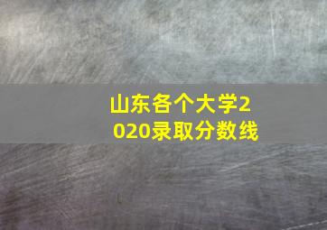 山东各个大学2020录取分数线