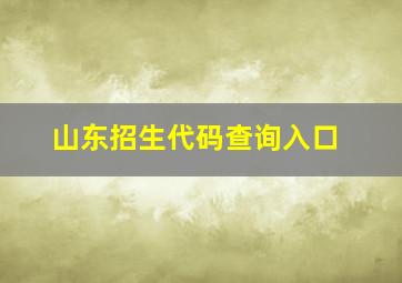 山东招生代码查询入口