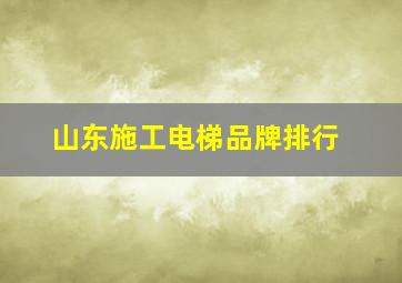 山东施工电梯品牌排行