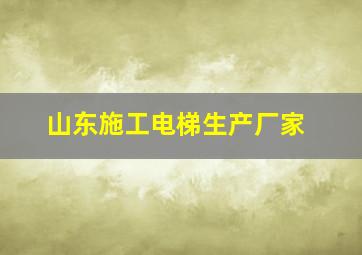 山东施工电梯生产厂家