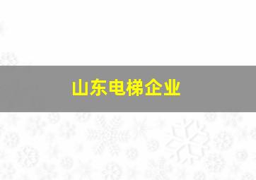 山东电梯企业